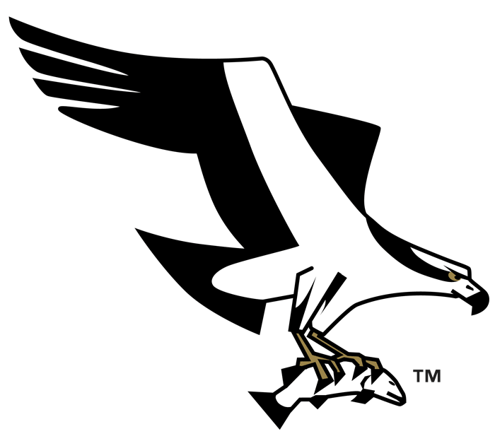 Missoula Osprey 1999-Pres Alternate Logo iron on paper